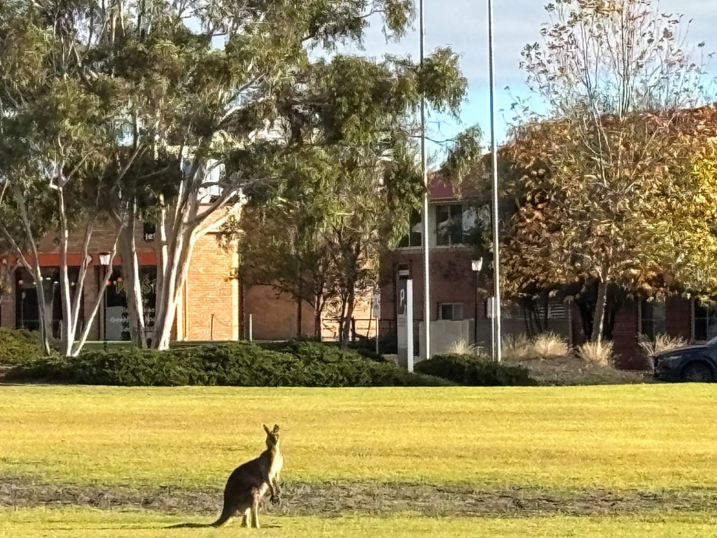 webpage-kang-2 Charles Sturt Campus